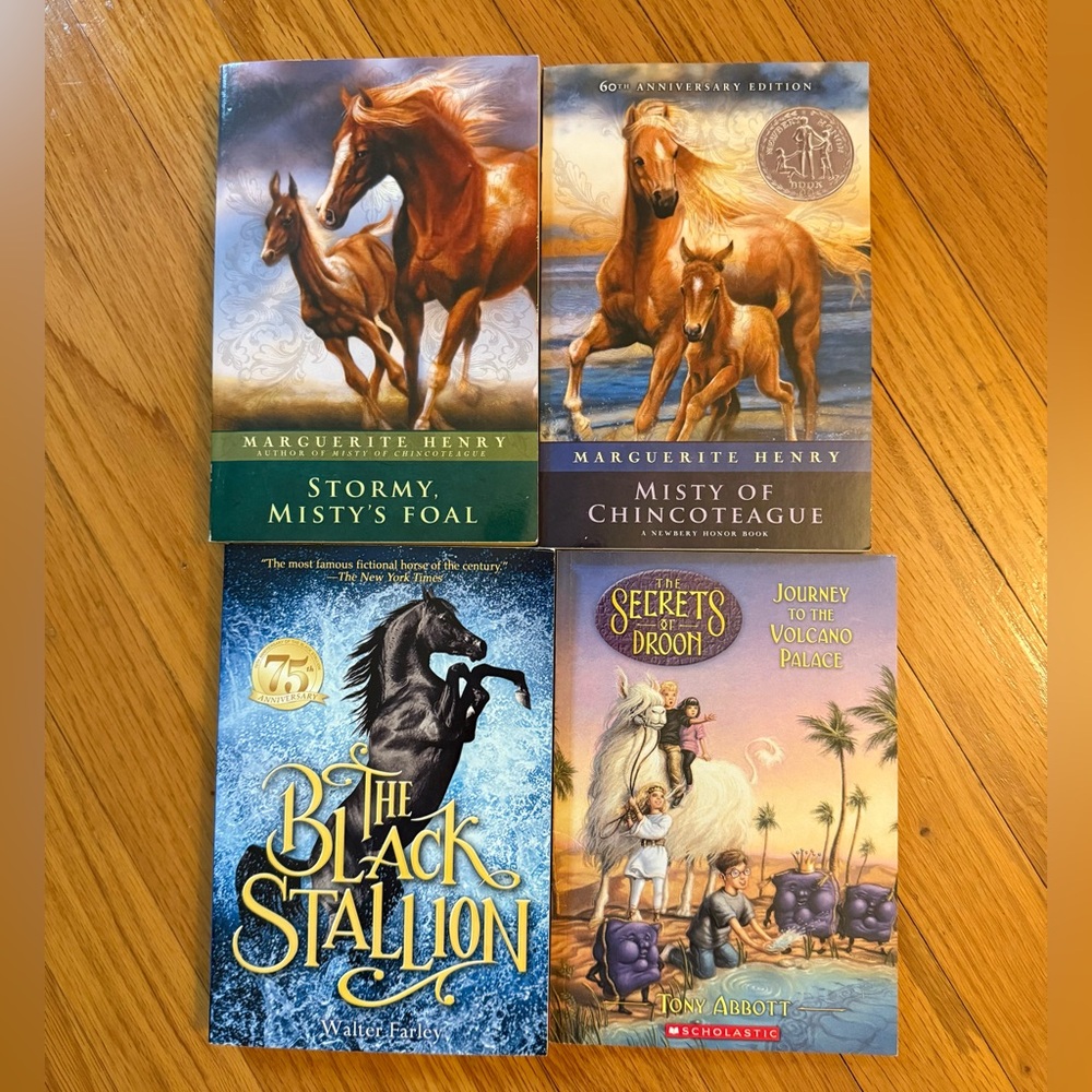 Set of Four Horse and Adventure Books